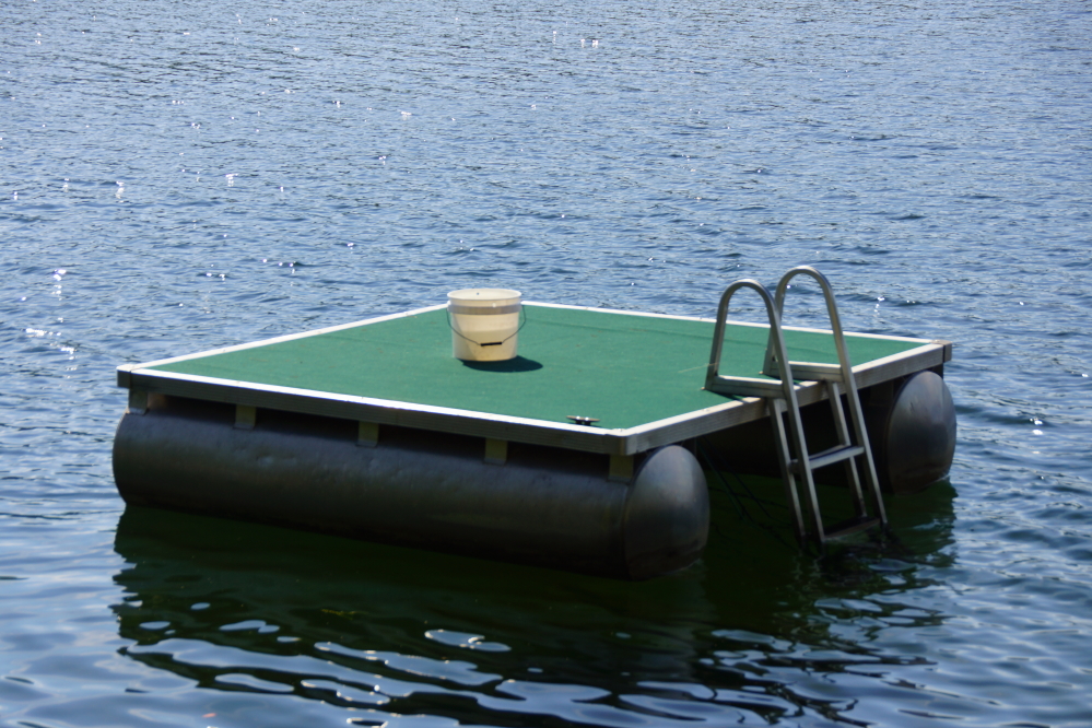 So far this summer, Mrs Nemo and I have each chipped one into the bucket. More than 2 have landed in the lake.
