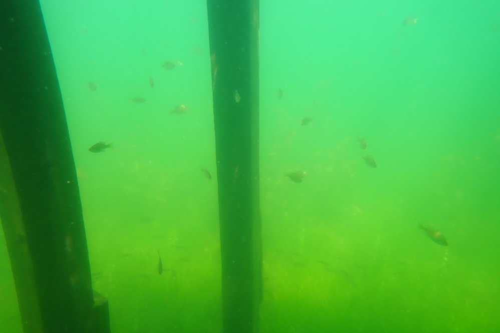 Lake Lucerne