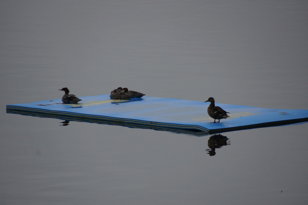 Despite the cooler, wetter weather, some families still spent all day on the water.