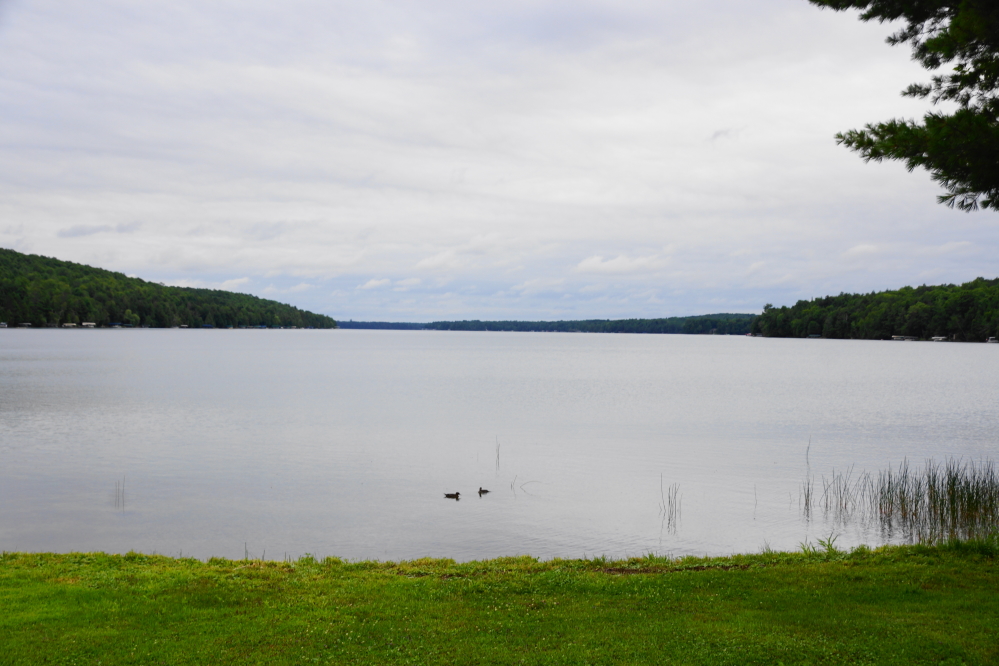 During the summer, on a dry week, the lake drops about an inch. Last week was many things, but thanks to the weekend, dry it was not. This was a good start. We'll need a similar rain event this month to arrest the recent record <a href='/LakeLevel/LL2.html' class ='defaultlink2' target='_blank'>drop in lake level</a>. The cooler and slightly deeper lake will host 3 more ski shows before closing the book on 2022. The two Wednesday shows will be filled with their usual greatness, but the alumni show, on Sunday, August 14th, should be really fun. <br><br><br>-Nemo vows to not dive alone again.