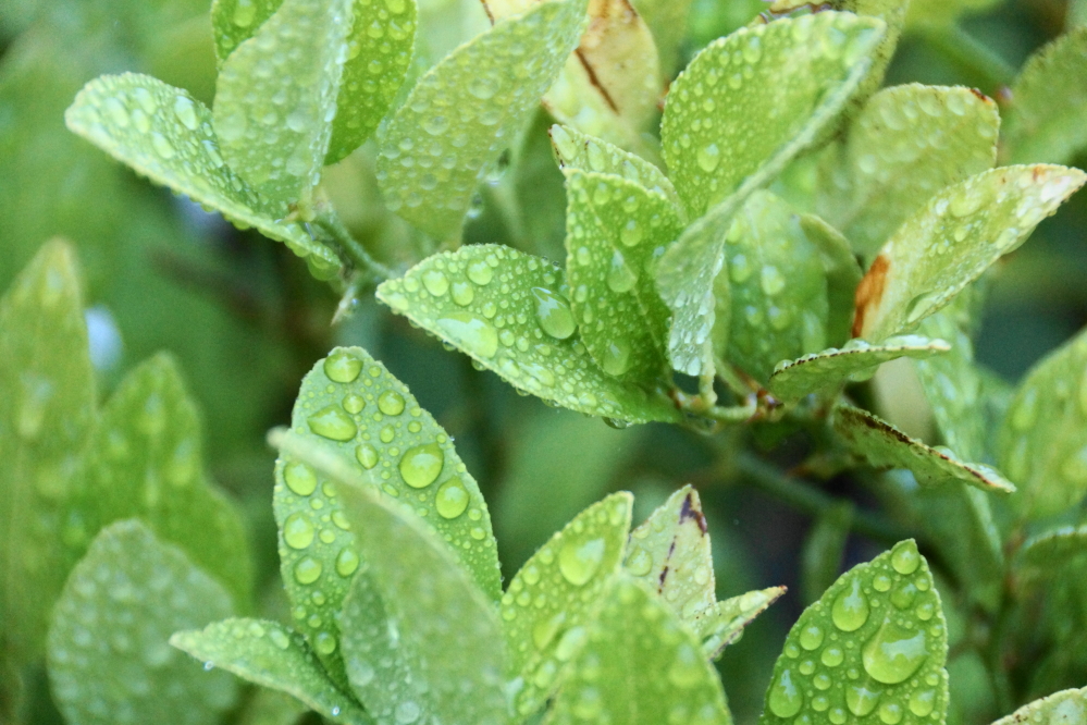On Saturday evening, the real rain started.