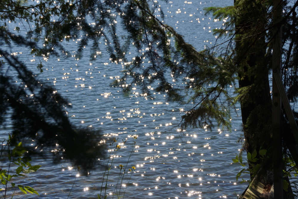 Before the weekend, there was much sun streaming through the pines and bouncing off the water.