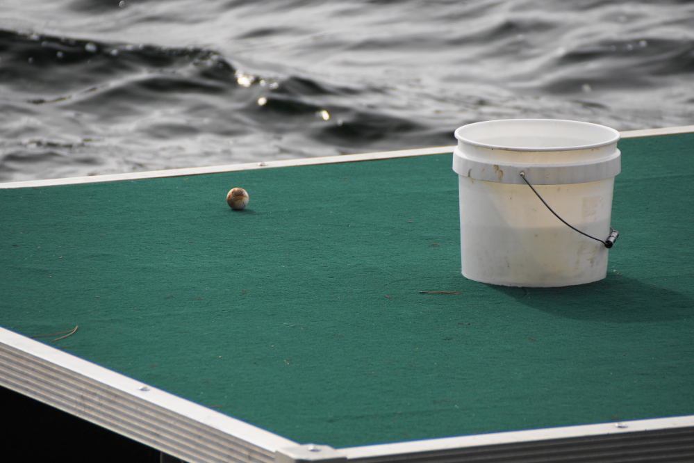 Nobody chipped a ball from the shore into the bucket this week, but one did manage to stick on the green.