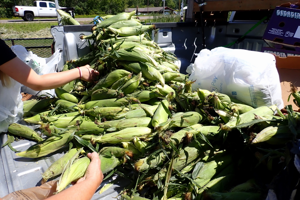 The corn in town at Josh's is even more impressive and much more tasty.