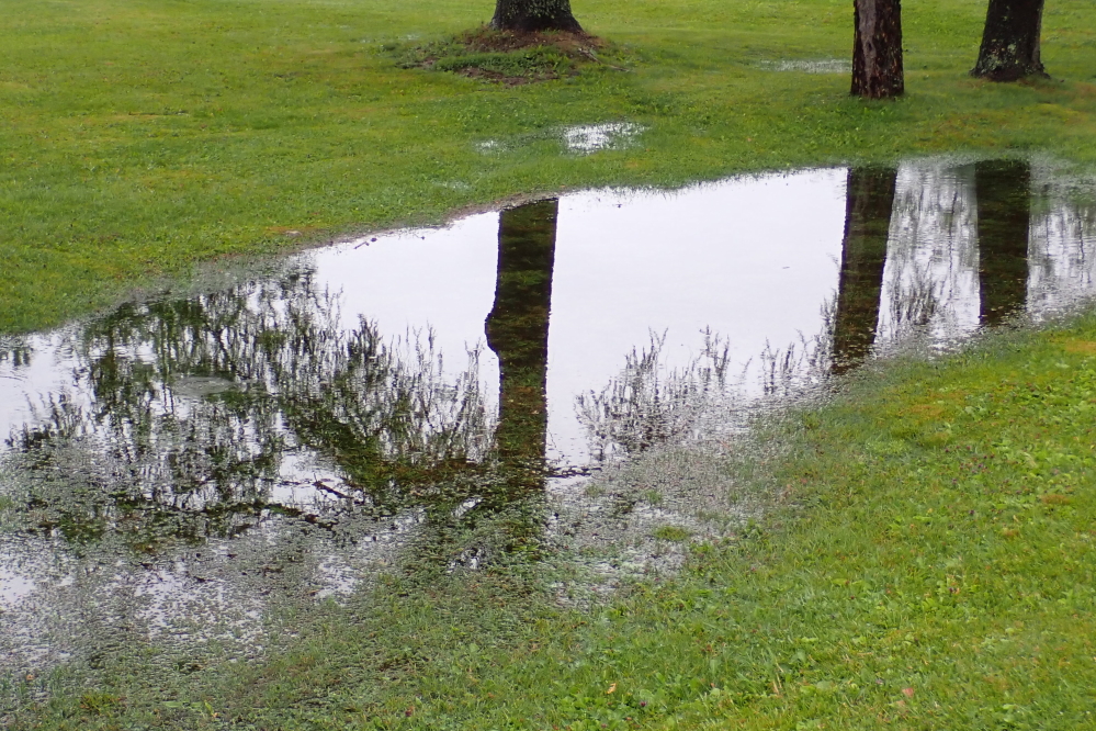Those that put off lawn mowing before the rain will have to put it off a little while longer.