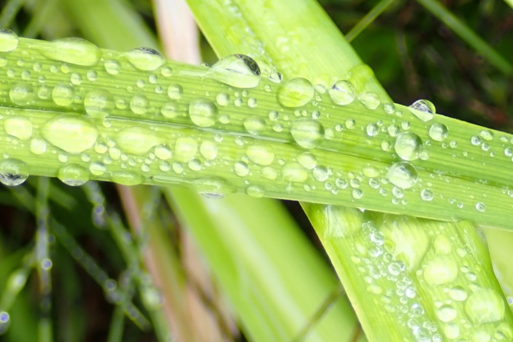 The cold started late Friday with a little rain.