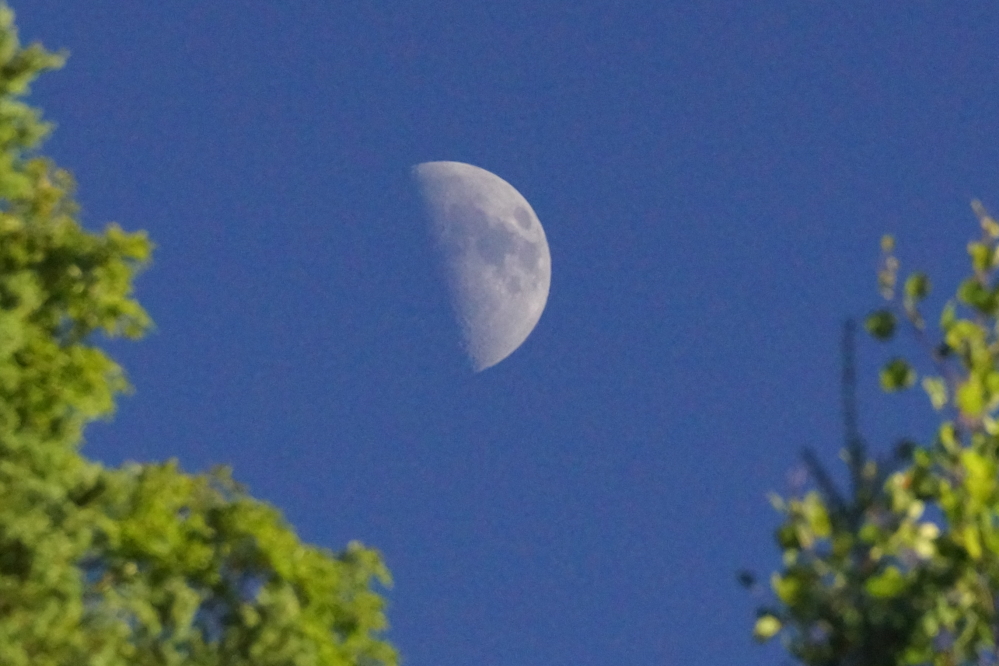 The moon is ticking closer to full. 