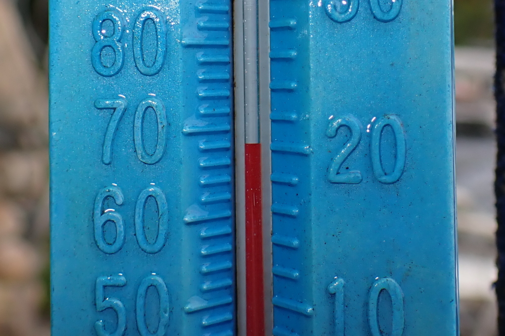 While the coolish air and the patchy tree color whispered the arrival of Fall, the lake temperature shouted it. It's currently 68°F and falling fast.