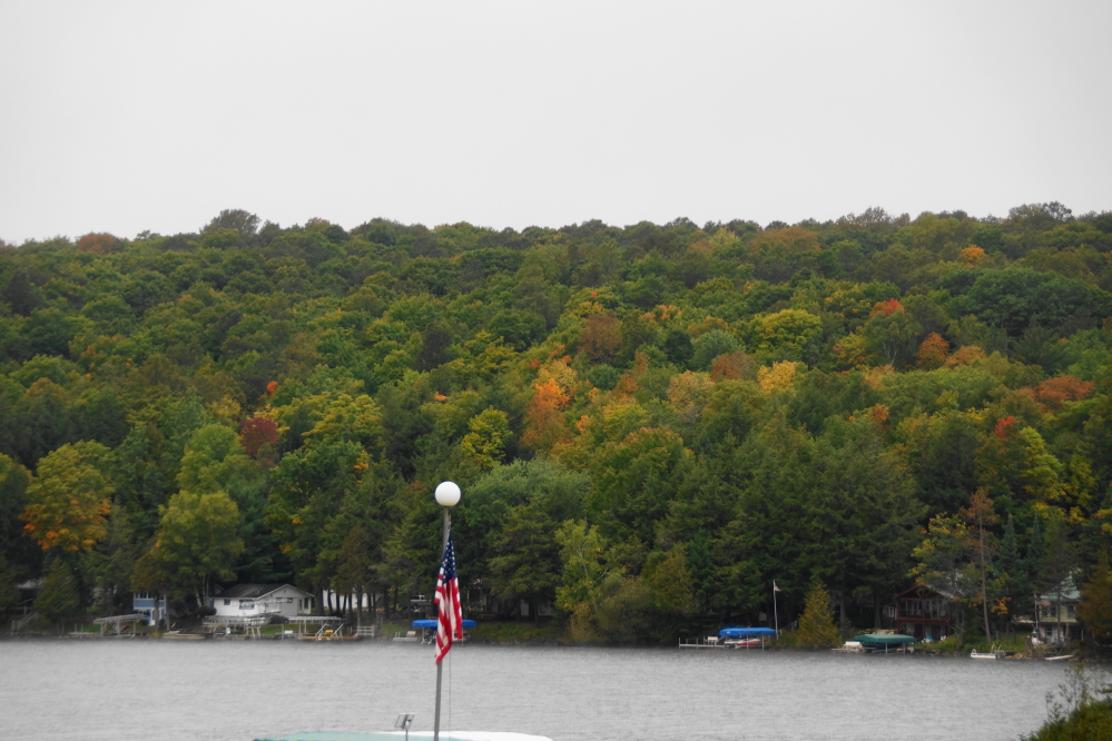 The trees aren't close to peak yet.
