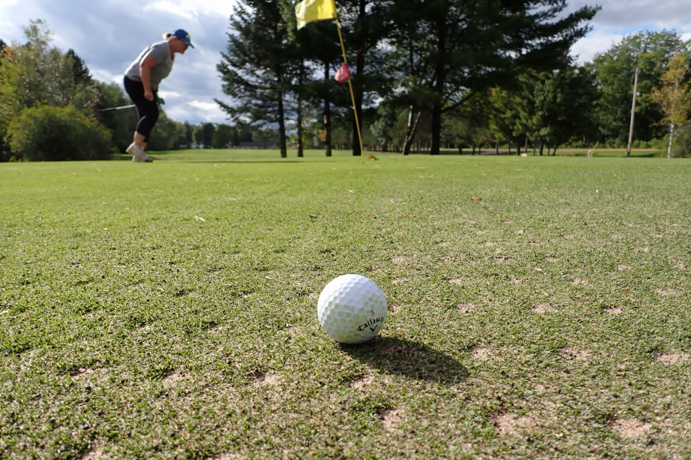 The greens at Nicolet got their Fall aeration which  temporarily made them faster and more curse-y.