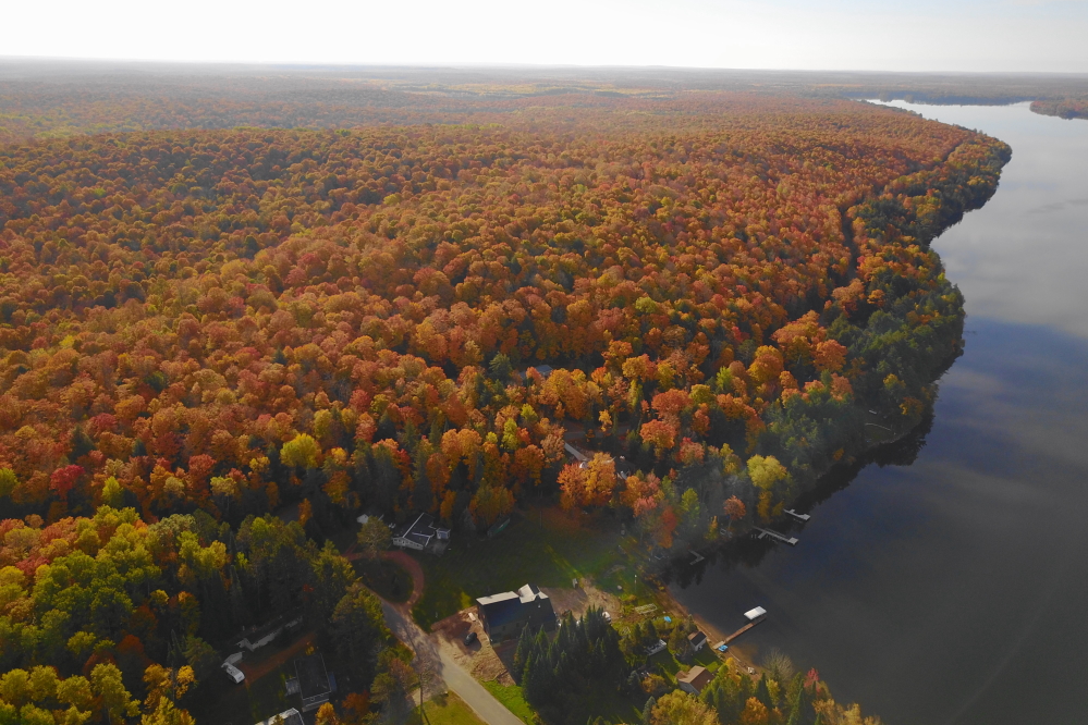 Even after peak, there was plenty of color remaining in the trees. I'd expect that to continue for the next few weeks.