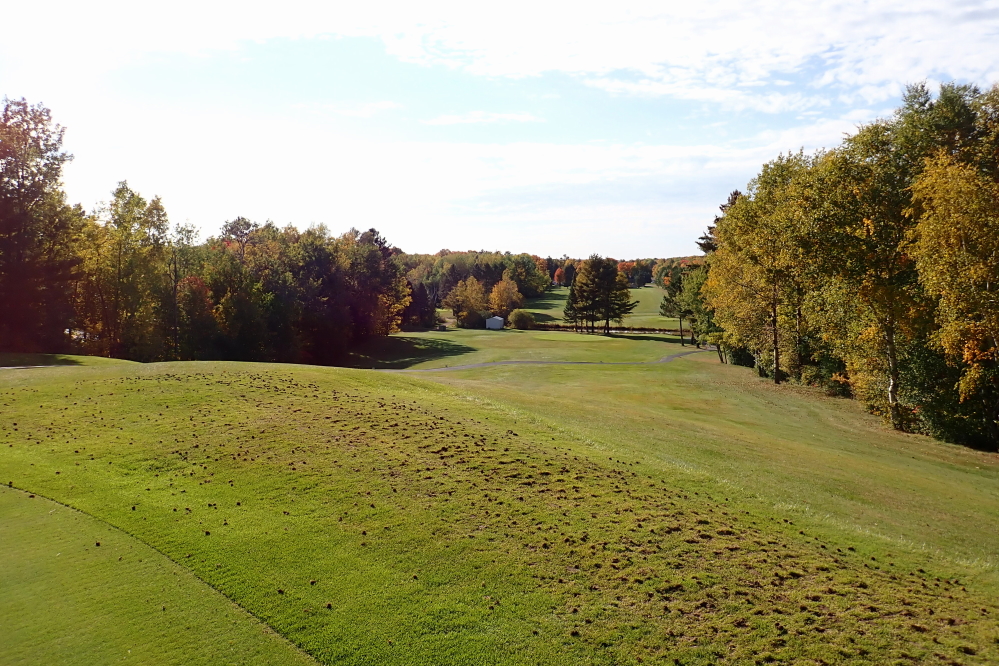 The Nicolet golf course was in good shape even after an aeration event early in the week.