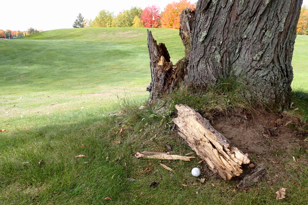 We love the exercise, the few well hit shots, and the outdoor nature that golf affords, but there are some times that I really hate the game.