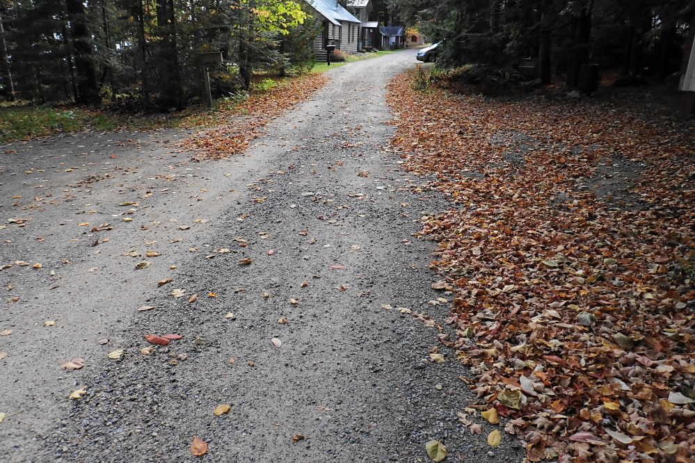 Piles of fallen leaves are starting to line Knott Lane. They make a memorable crunching sound when trod upon.