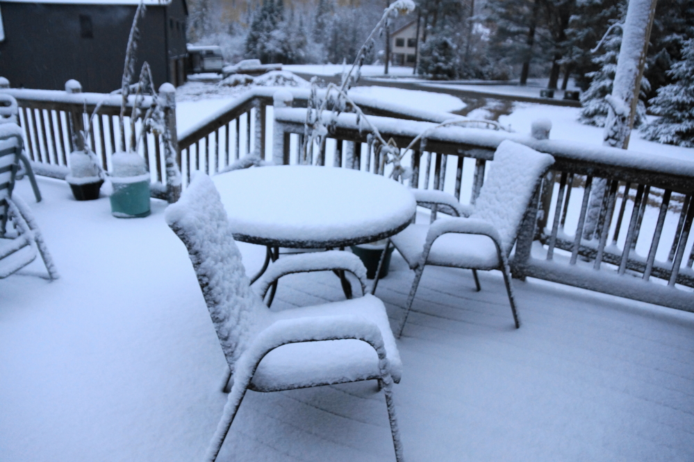 We measured 2.5 inches of snow on the bar's deck. 