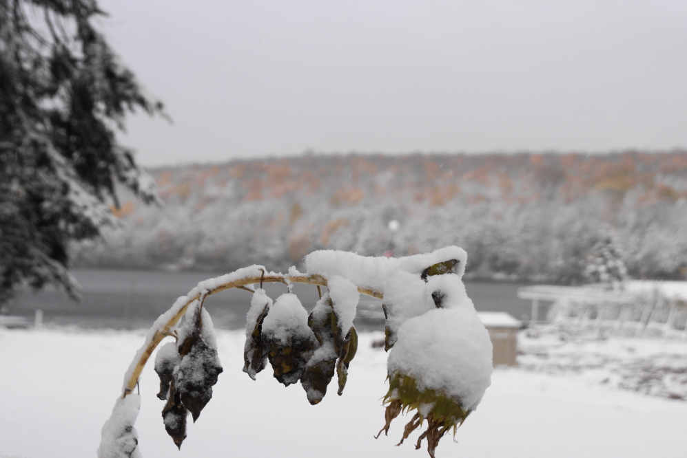Due to the unfrozen nature of the ground, there could have been a little less off deck accumulation.