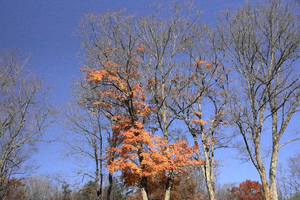 Then there were some that could not decide to drop them all or go full peak.