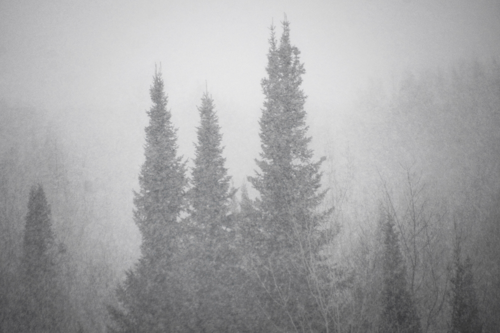 On Monday, we got about 3 inches of snow.