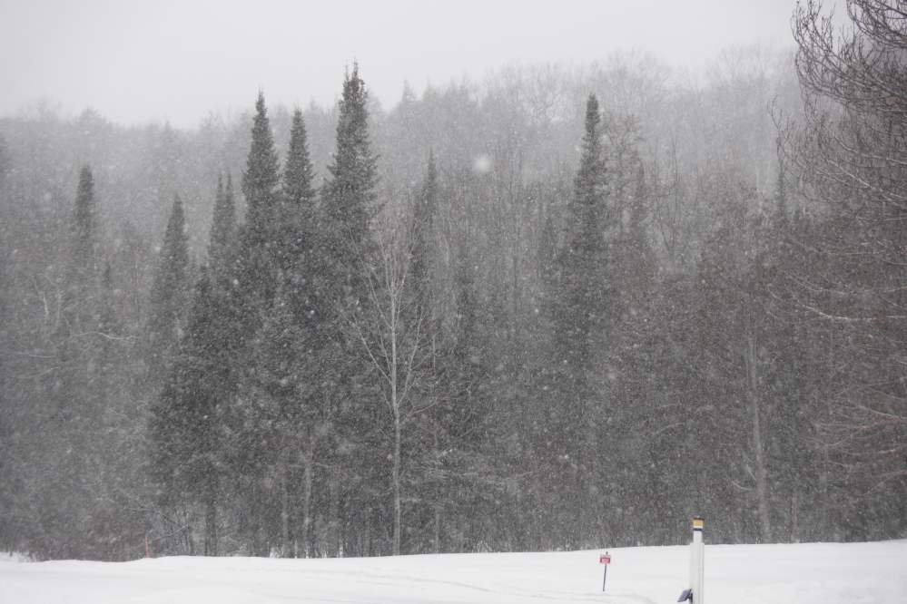 The week's second snow event came on Wednesday. It was a little lighter than Monday's, but just as appreciated.