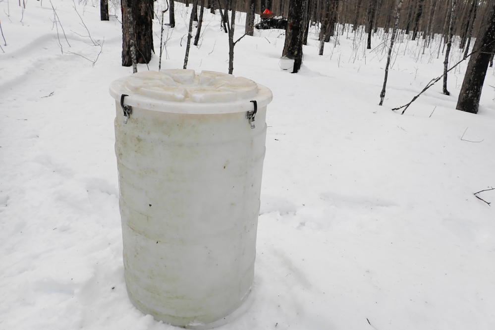After running out of jugs, 55 gallon barrels were used to hold the overflow.