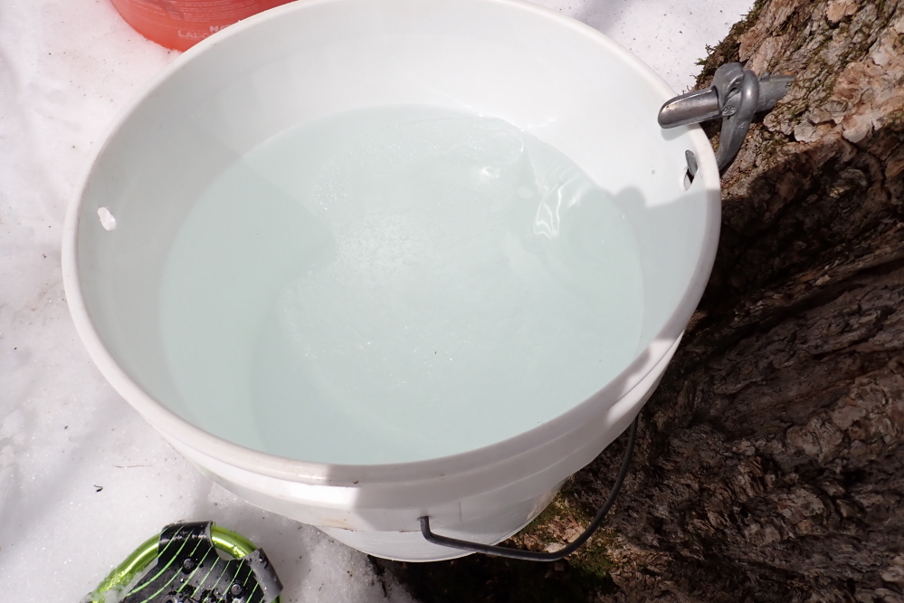 In the end, they were running hard enough to fill many buckets.