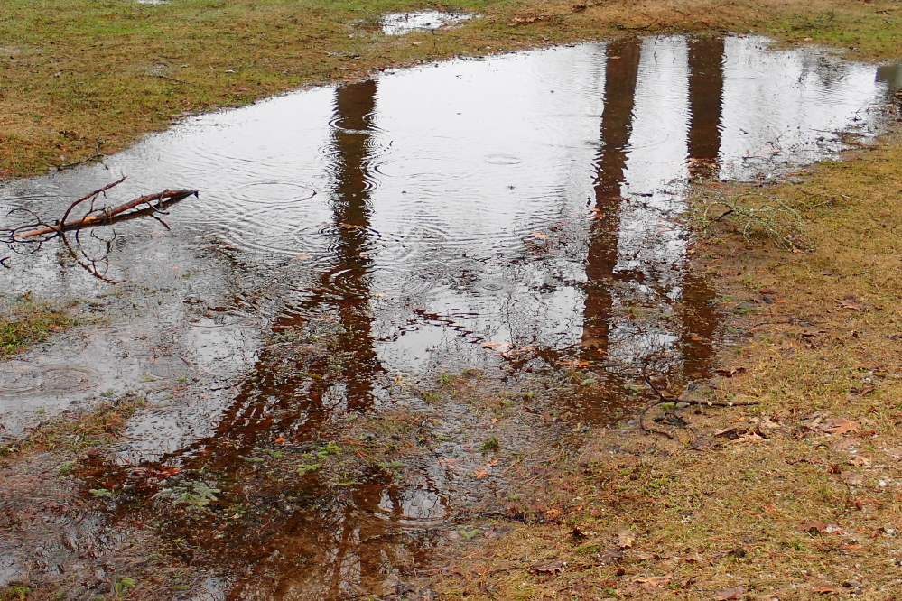 The highs during many of the days were above freezing. Melting snow combined with a little rain to keep the yard puddles in a more pond like state.
