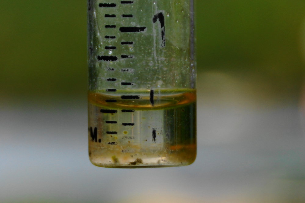 The lake recovered almost half an inch of depth after the all day event was over.