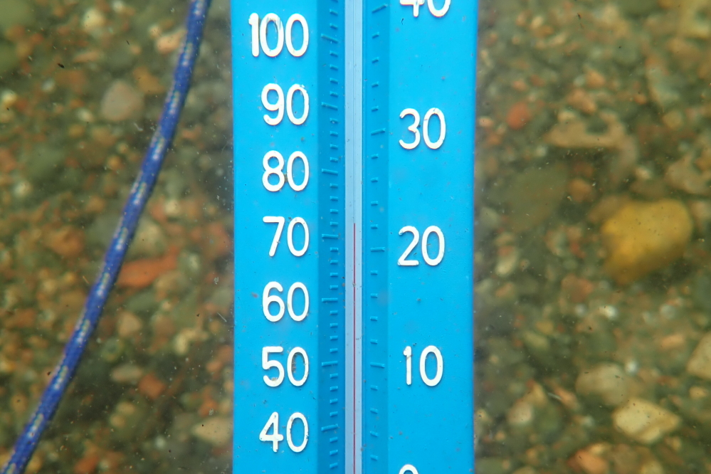 The lake temperature is back up to 72°F.