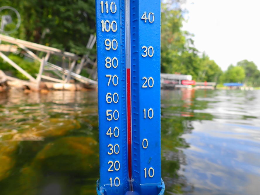 On Friday, just before a slightly cooler weekend, the lake temperature rose to 77°F. Huzzah!