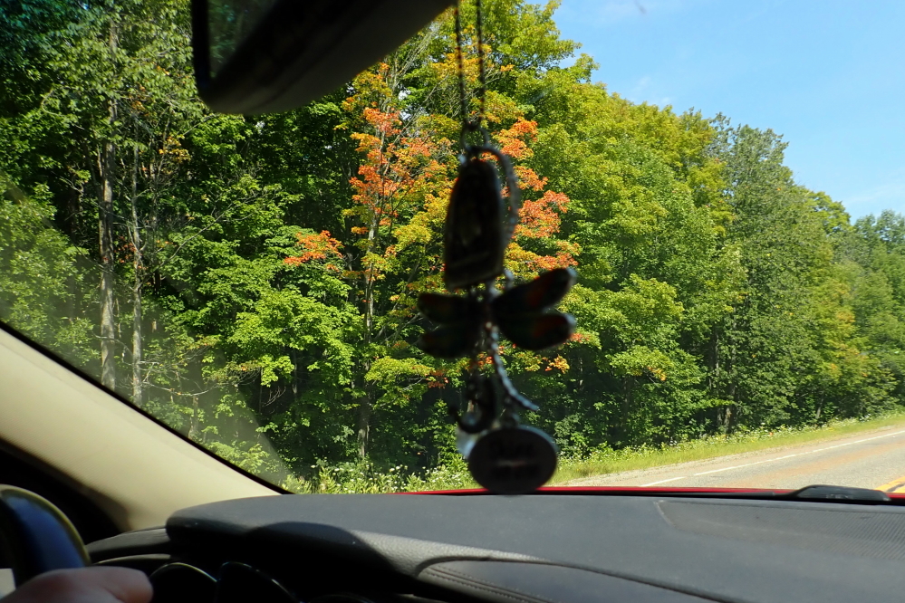 While going to the NCC golf course, it was noted that there are a number of trees on Hwy 8 showing more than a little fall color.