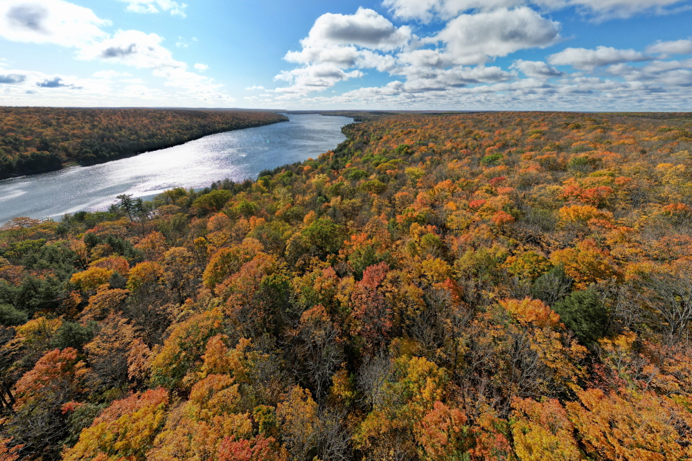 The post peak era is being expressed in the surrounding forest with more browns and bare branches.