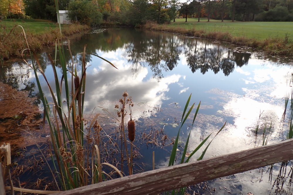 The moist, cooler weather is keeping the course's water hazards full. They're still not frozen though, so Huzzah!