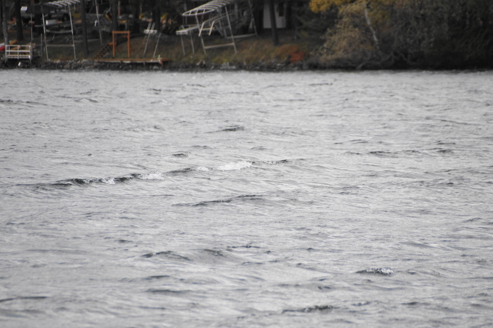 Just before some of the better rain, the wind grew strong and the lake chunked up.
