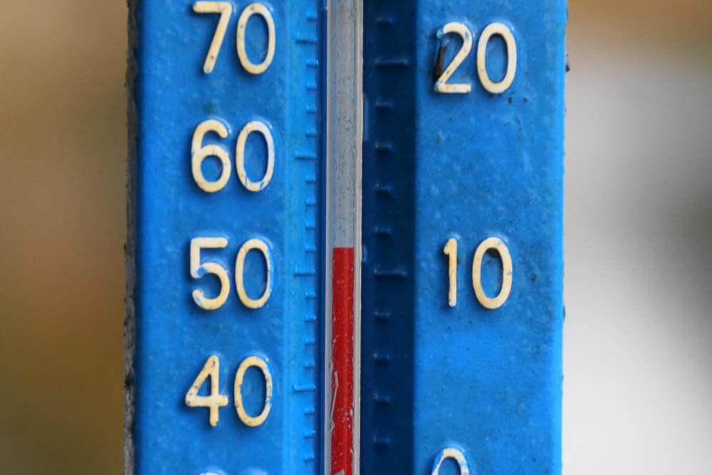 The squirrel's surliness may be lake temperature related. The water is getting cold.