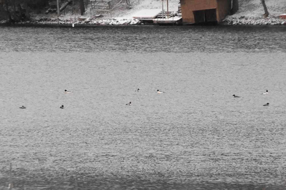 Lake Lucerne
