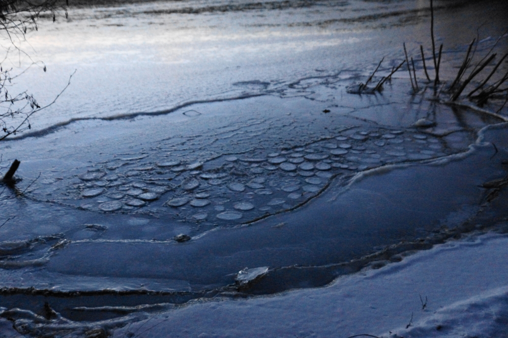 Warmer, wavy days broke up the small amount of lake ice into plate sized chunks. Those chunks would refreeze into the shore on cold nights making a scalloped surface instead of the normal mirror like top ice.