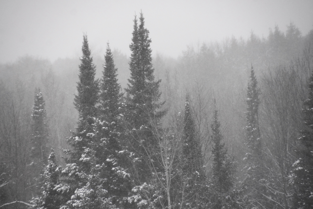 The second snow event of the week started on Friday and ended on Deep Winter.