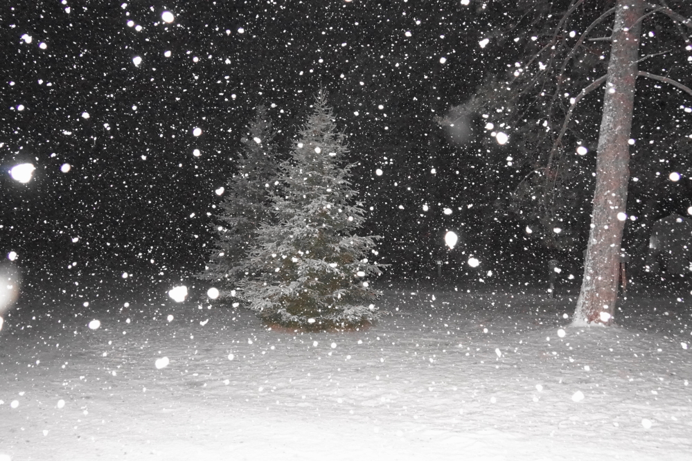 At first the forecast predicted an inch overnight. Then 1.2 inches. Then 1.8 inches. 