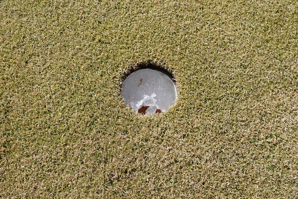The ice in the unmarked holes could have been overcome. The spotty snow, frozen ground, and fairway puddles not so much. February, no golf for you!