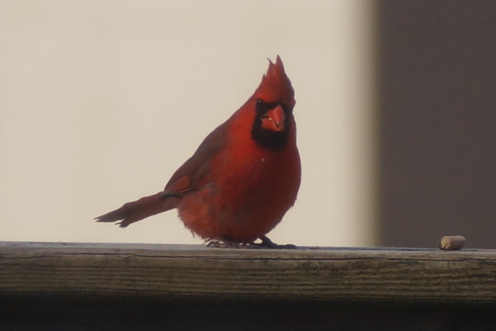 We still have a small swatch of red dancing around the north end of the lake.