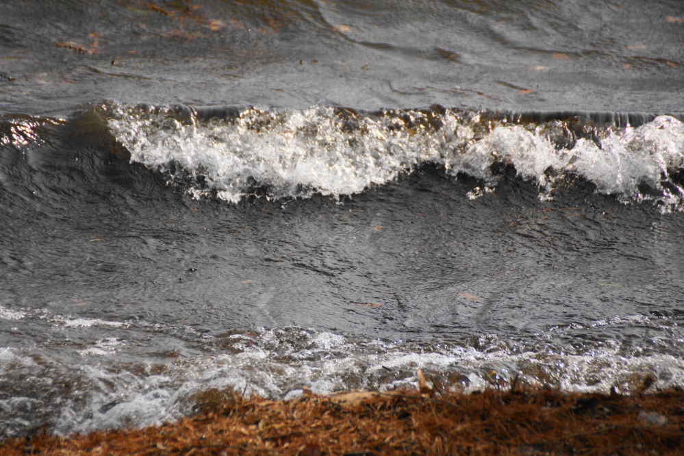 We did get some wind. From the South. Surfable waves pounded the sand and rock on the north shore. Cowabunga!