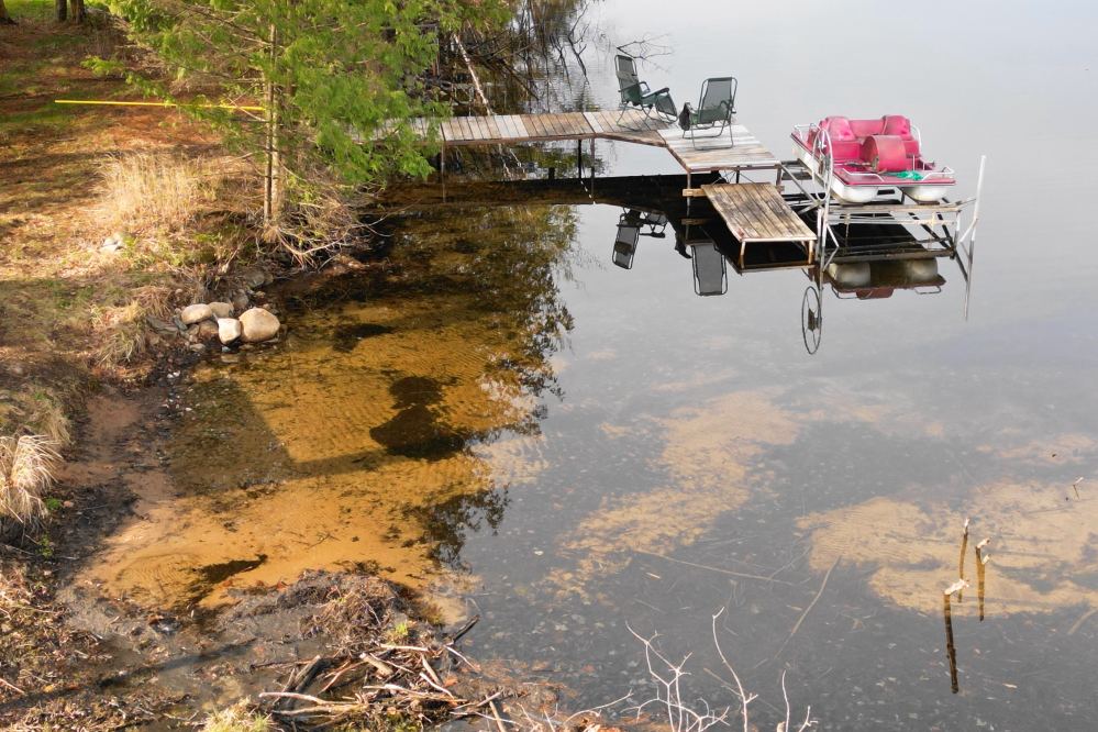 A few years ago when the lake level was at record lows, many saplings sprang up on the previously water covered beach in the northeastern corner of the lake. When the lake level increased they all died. The shifting ice this spring uprooted most of them, returning a more beach-like setting to the corner.