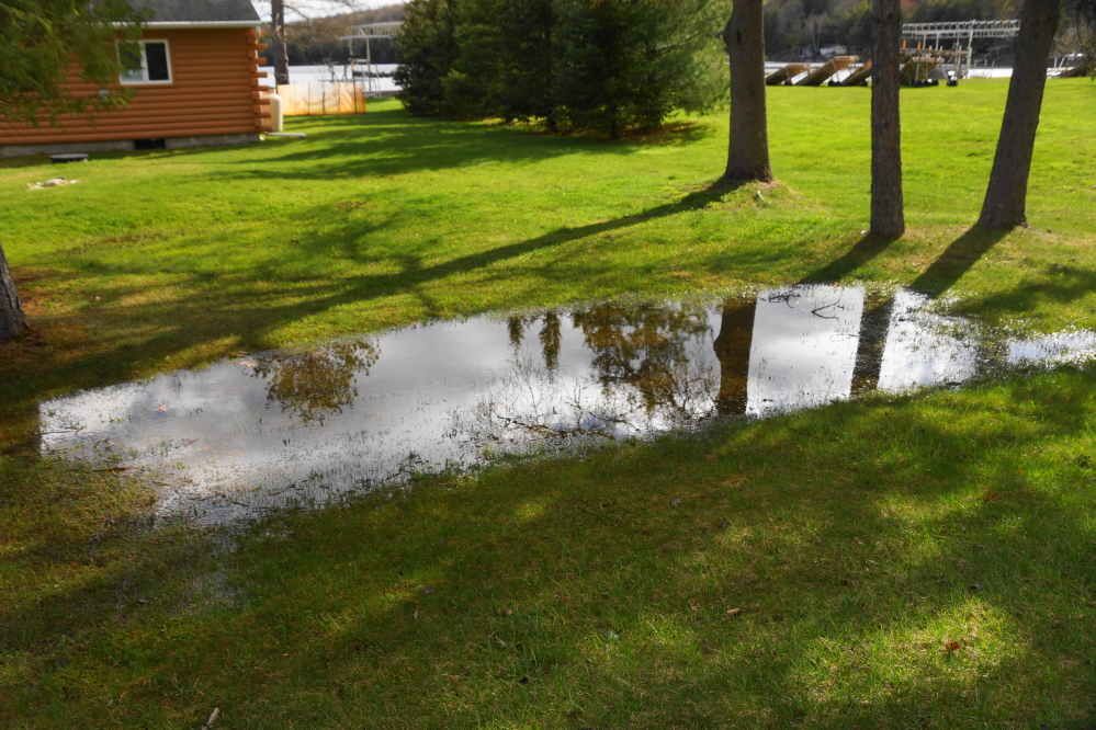 That first mowing will have to wait for the many lawn puddles to recede.
