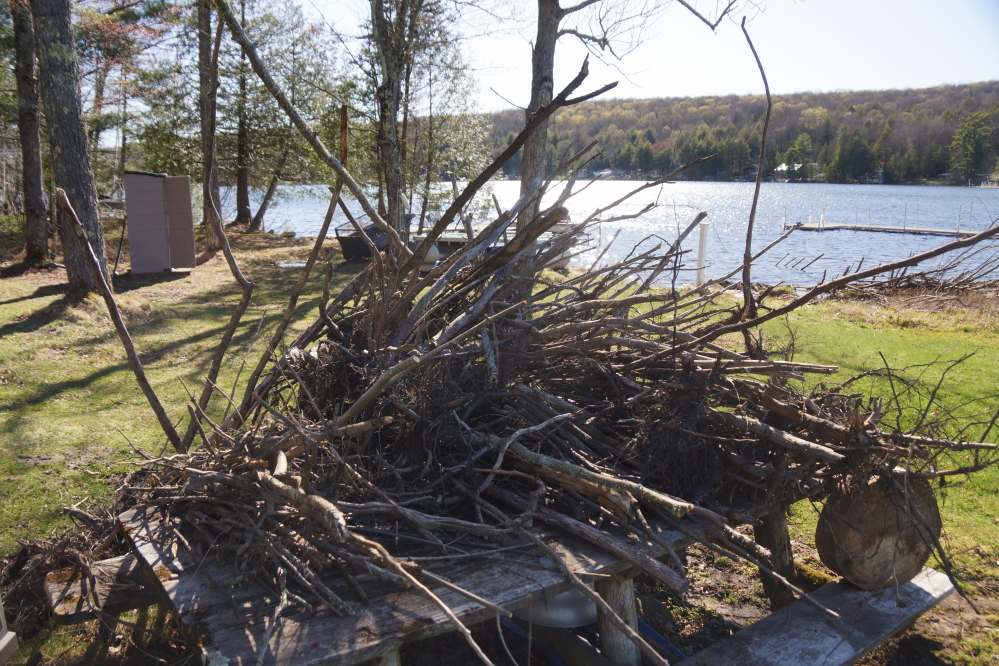 After the first storms passed, we gathered the sticks. 