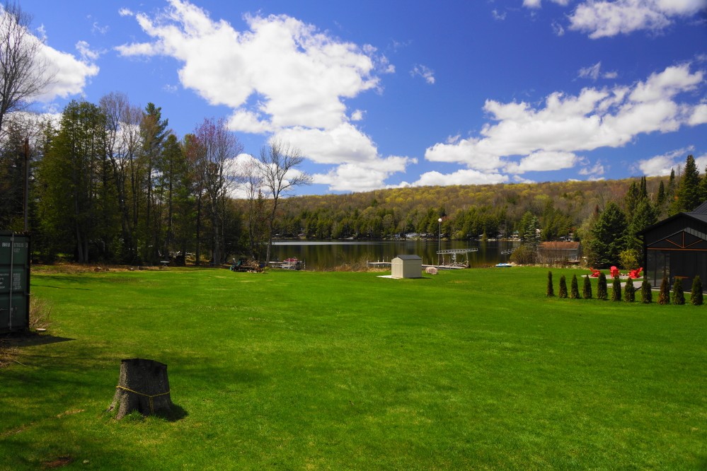 The combination of rain and sun has many planning the first lawn mowing of the year.