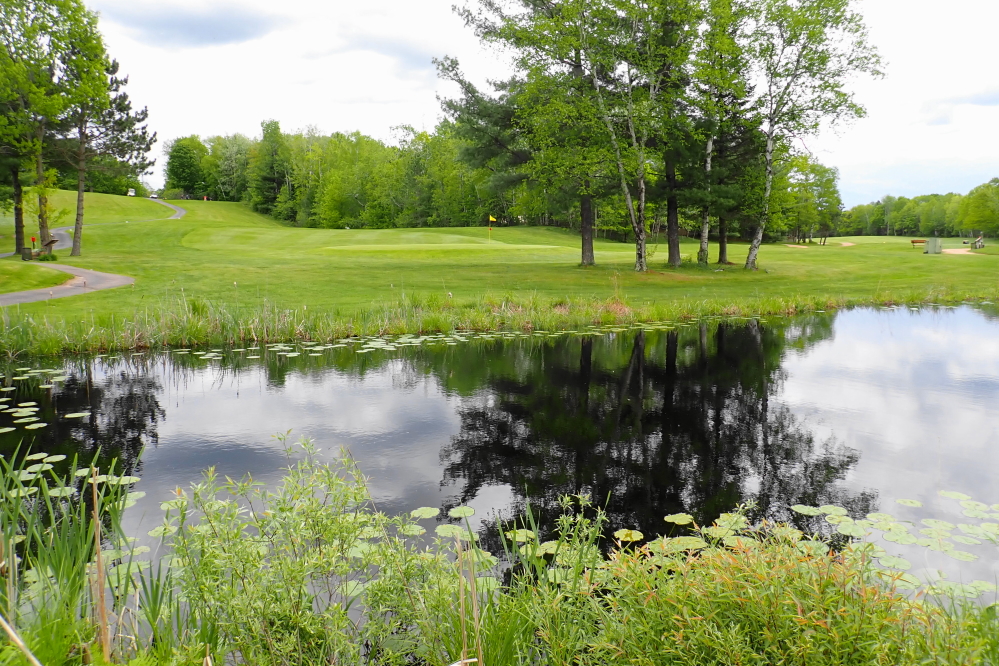 The local golf course is in good shape. All the rain has made water hazards particularly perilous.