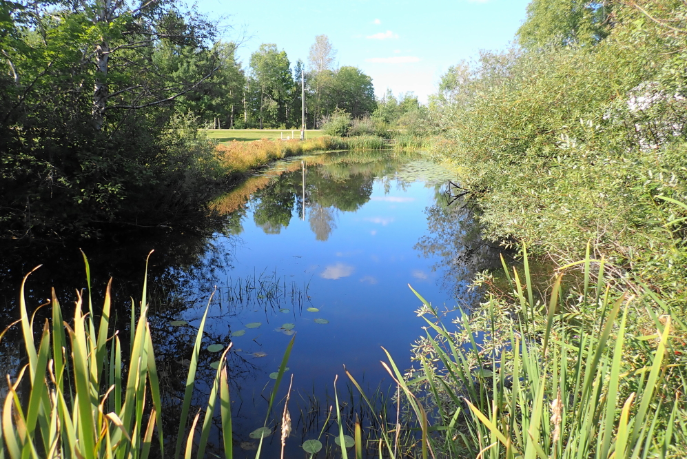 We did get one short rain event last week, but there was not enough accumulation to hold the high lake and water hazzard levels.