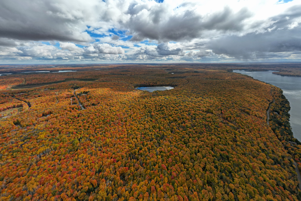 At the start of last week, the hills east of the lake still held plenty of autumnal color. By the weekend, there was less.