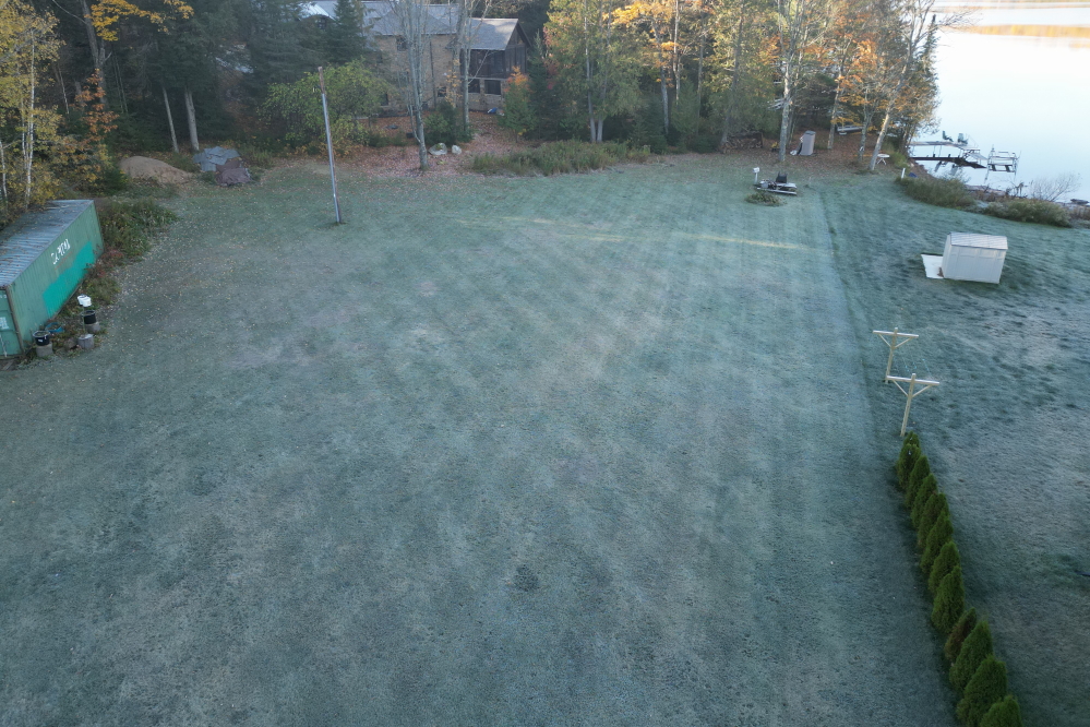 The hard freezes that chilled mornings mid-week frosted the grass