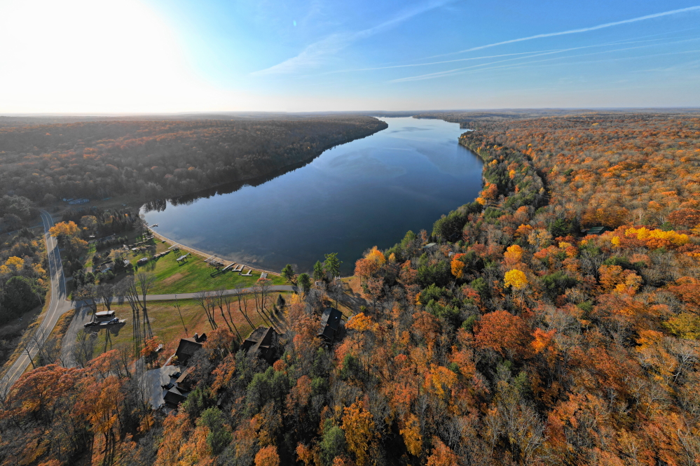 At the start of last week, there was a little color left in the trees. Walking in some areas became really, really crunchy in an autumnal, rake beckoning way after mid-week. The trees colorful state did not make the weekend.